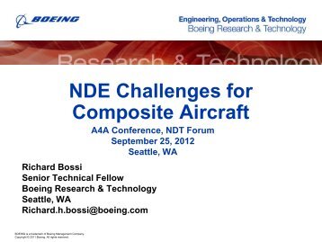 NDT Challenges for Composite Aircraft
