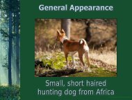 General Appearance - the Basenji Club of America