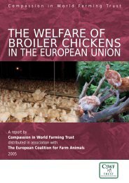 the welfare of broiler chickens - Compassion in World Farming