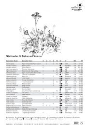 Wildstauden für Balkon und Terrasse