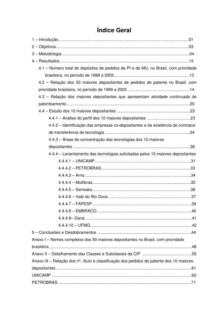 Maiores Depositantes de Pedidos de Patentes BR 1999 - Inpi