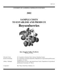 Boysenberries - Cost & Return Studies