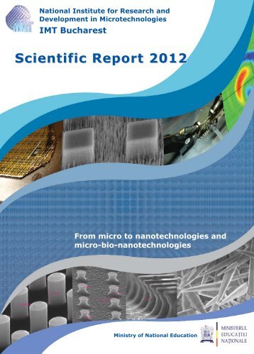 Scientific Report 2012 - IMT