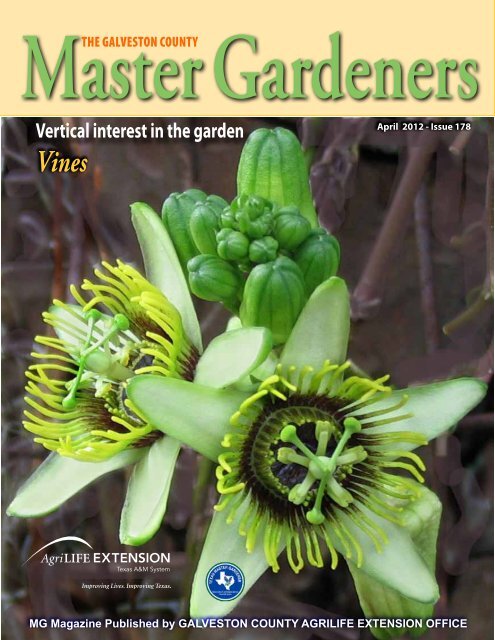 Download - Aggie Horticulture - Texas A&M University