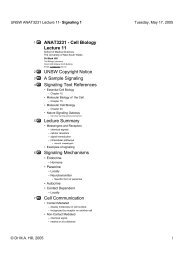 lecture11 outline (print no images) - UNSW Cell Biology - The ...