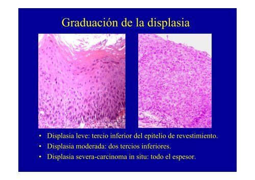 ANATOMIA PATOLOGICA C. MAXILOFACIAL