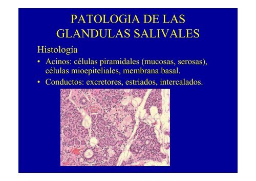 ANATOMIA PATOLOGICA C. MAXILOFACIAL