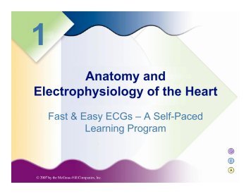 Anatomy and Electrophysiology of the Heart - Grand County EMS