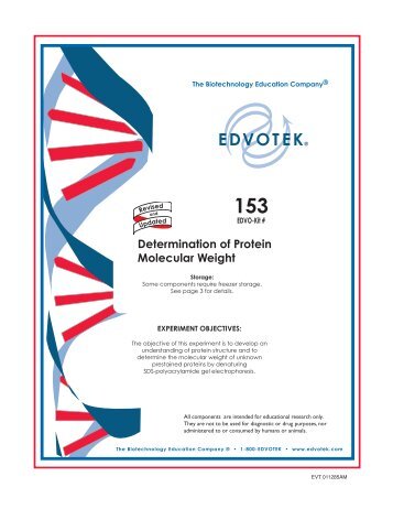 Determination of Protein Molecular Weight - Frederiksen