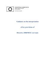 guidance on the interpretation and key provisions of - European ...