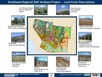Southwest Regional GAP Analysis Project - Land Cover Descriptions