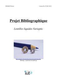 Projet Bibliographique - IUT A de Lille