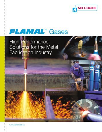 Flamal Gases - BLUESHIELD