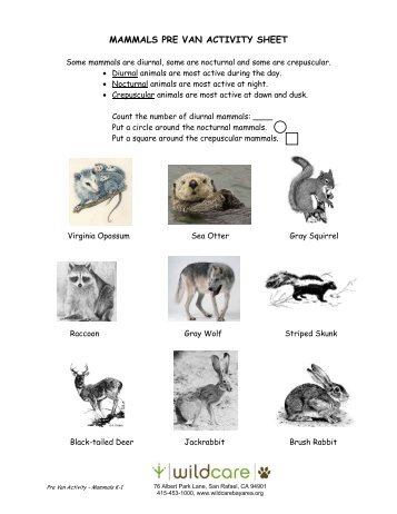 MAMMALS PRE VAN ACTIVITY SHEET