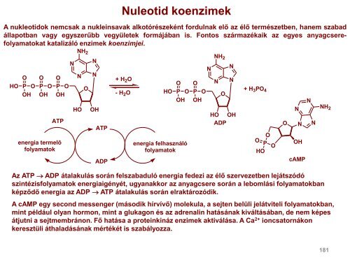 OH - Szerves Kémiai Tanszék