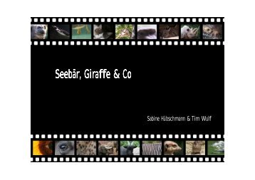 Seebär, Giraffe & Co