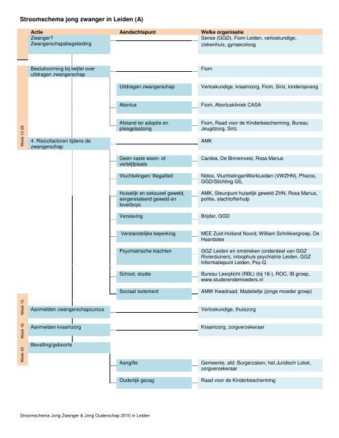 Stroomschema jong zwanger in Leiden (A)