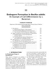 Endospore Formation in Bacillus subtilis: An Example of Cell ...