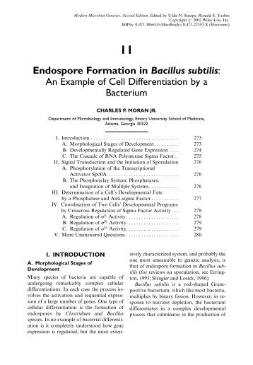 Endospore Formation in Bacillus subtilis: An Example of Cell ...