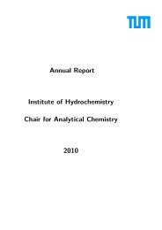 Annual Report 2010 - Institute of Hydrochemistry - TUM