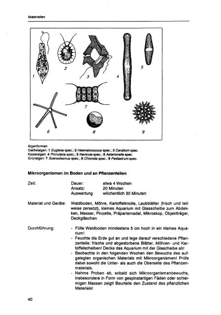 Baustein "Beobachten und Wahrnehmen mit Mikroskop und Fernrohr"