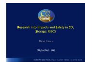 Research into Impacts and Safety in CO2 Storage - CO2Geonet