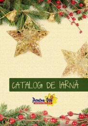 Catalog de iarna 2011