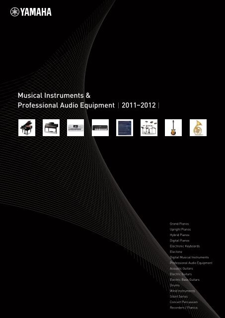 Musical Instruments & Professional Audio Equipment ... - Ymusic.kz