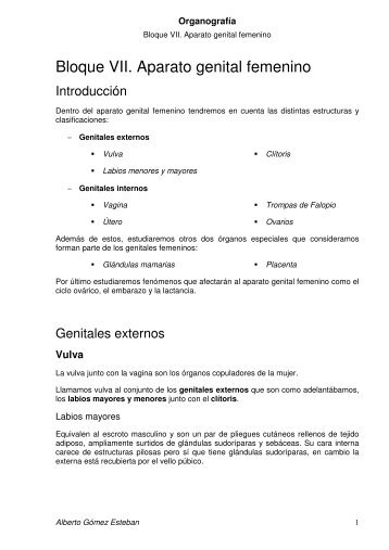 BLOQUE VII. APARATO GENITAL FEMENINO.pdf - VeoApuntes.com