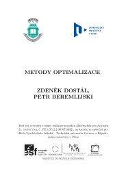 Metody optimalizace (1.2 MB) - Matematika pro inÅ¾enÃ½ry 21. stoletÃ­ ...