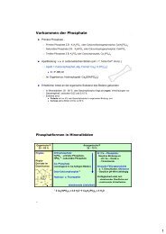 Phosphor - Lossl.de