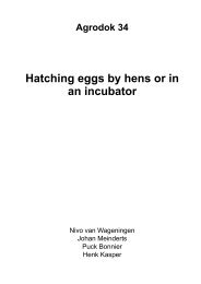 Hatching eggs by hens or in an incubator - Cd3wd