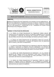 MANUAL ADMINISTRATIVO - DelegaciÃ³n Iztacalco - Gobierno del ...