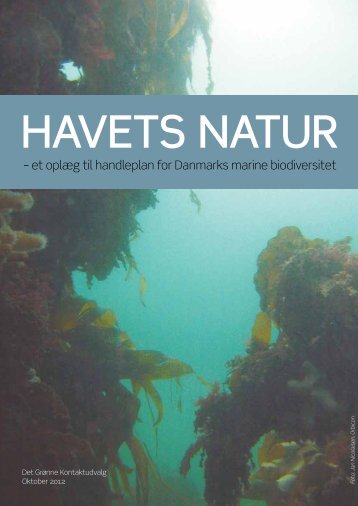 HAVETS NATUR - et oplæg til handleplan for Danmarks marine ...