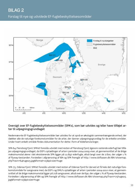 HAVETS NATUR - et oplæg til handleplan for Danmarks marine ...