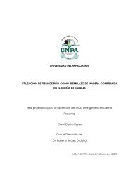 UNIVERSIDAD DEL PAPALOAPAN UTILIZACIÓN DE ... - UNPA