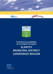 SlantSy Municipal DiStrict leningraD region