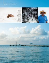 gourmet traveller - Cayman Islands