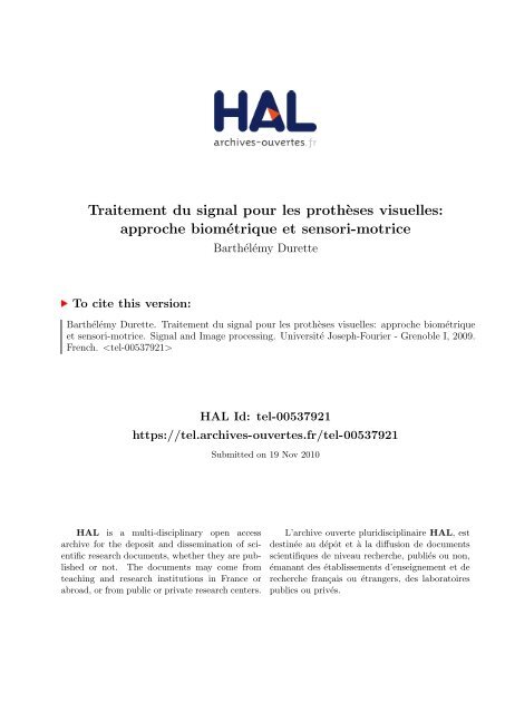 Traitement du signal pour les prothÃ¨ses visuelles: approche 