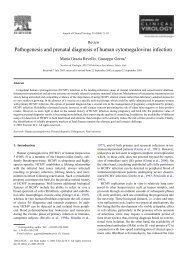 Pathogenesis and prenatal diagnosis of human cytomegalovirus ...
