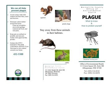 Plague: Protect Yourself - Bernalillo County