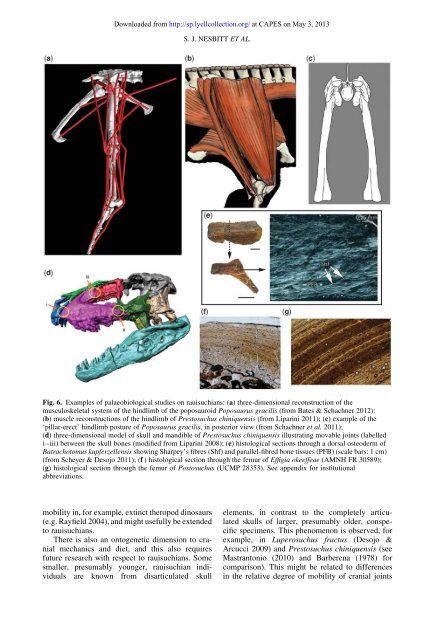 (044) Nesbitt et al 2013