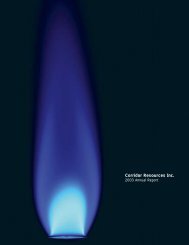 2003 Annual Report - Corridor Resources Inc.