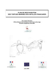 Télécharger - PDF - Réseau des tortues marines de Guadeloupe