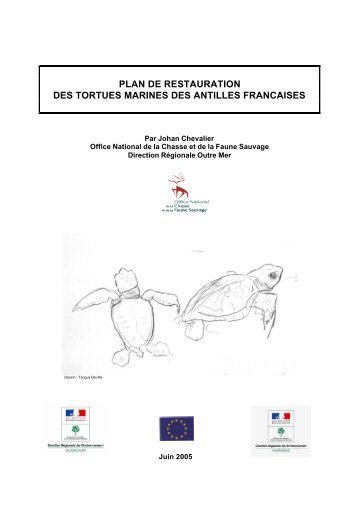 Télécharger - PDF - Réseau des tortues marines de Guadeloupe