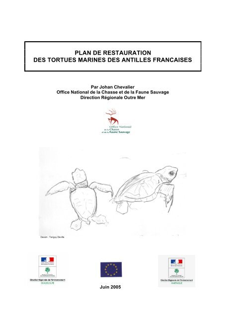 Télécharger - PDF - Réseau des tortues marines de Guadeloupe