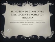 Museo Zoologico - Liceo classico Giovanni Berchet