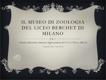 Museo Zoologico - Liceo classico Giovanni Berchet