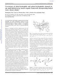 Coexistence of chiral hydrophilic and achiral hydrophobic channels ...