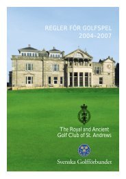 REGLER FÖR GOLFSPEL 2004–2007 - Golf.se